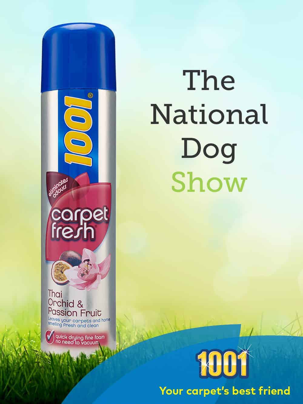 blog may 05 national dog show 011 blog may 05 national dog show 011