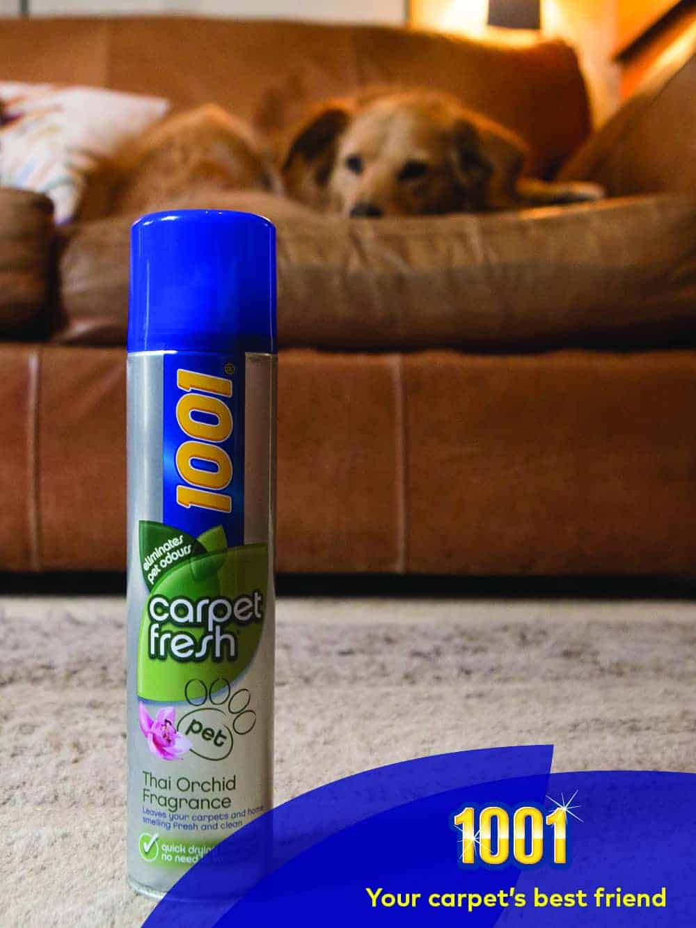 Your FreshFriday roundup the 'best pet safe carpet cleaner' edition