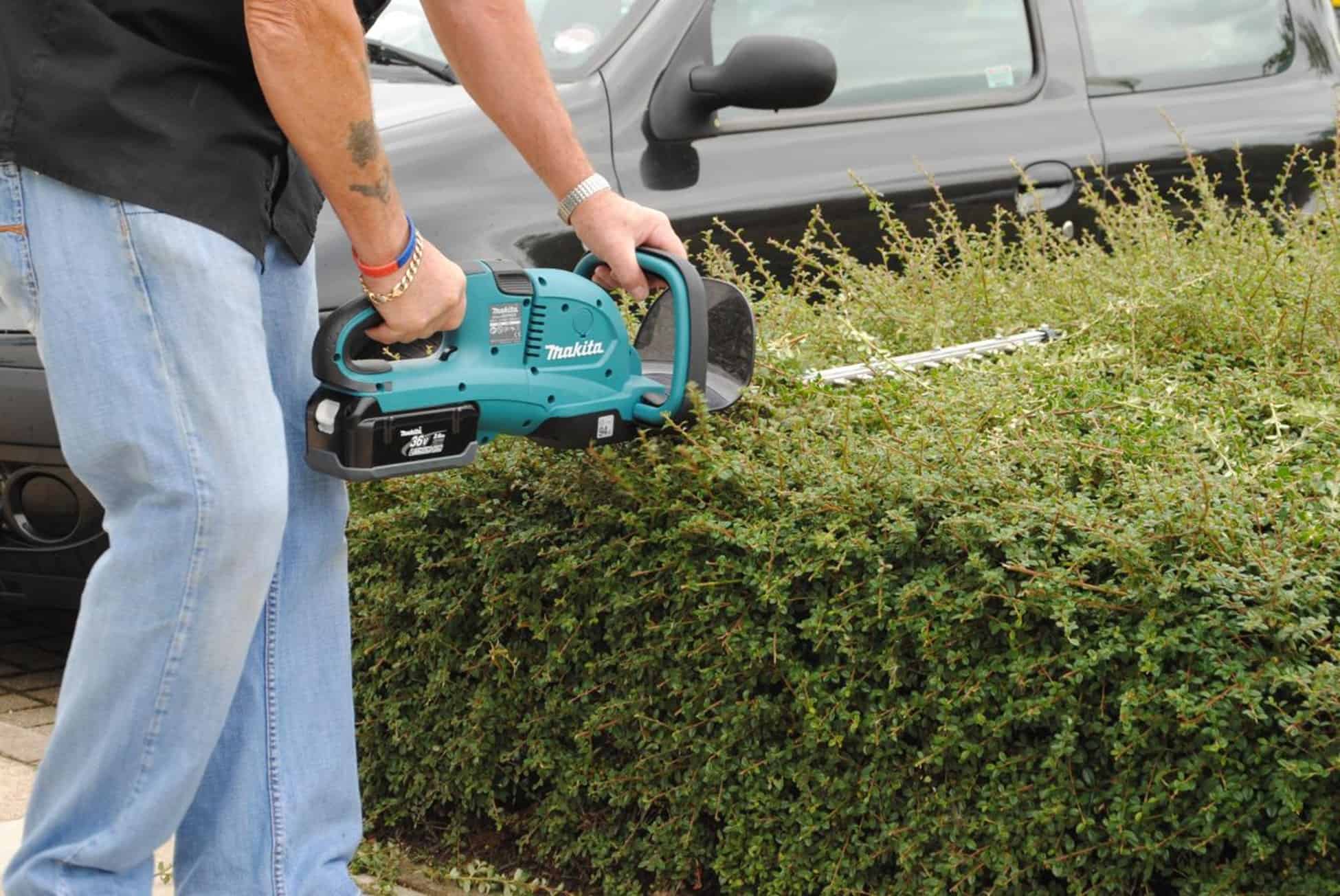 How to Clean Hedge Trimmers Properly and Safely WD40 Africa