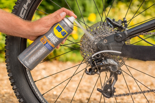 cleaning chain with wd40