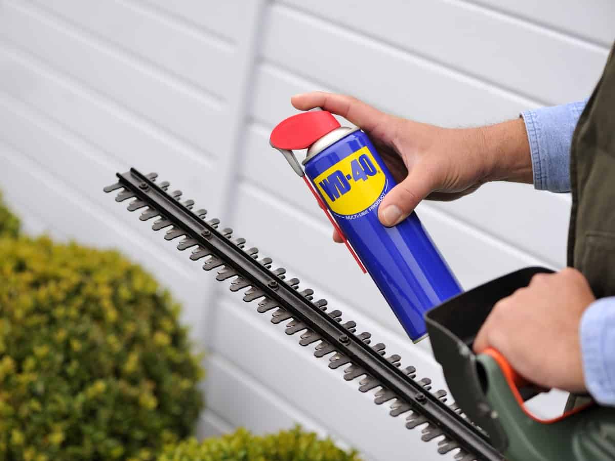 Hecke selbst schneiden mit der WD40 Anleitung So