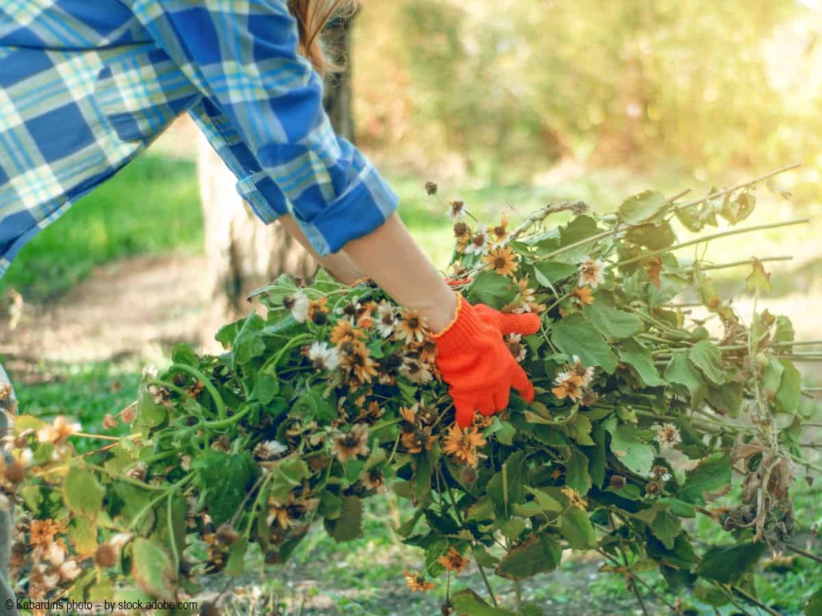 Garten auf den Winter vorbereiten so funktioniert es