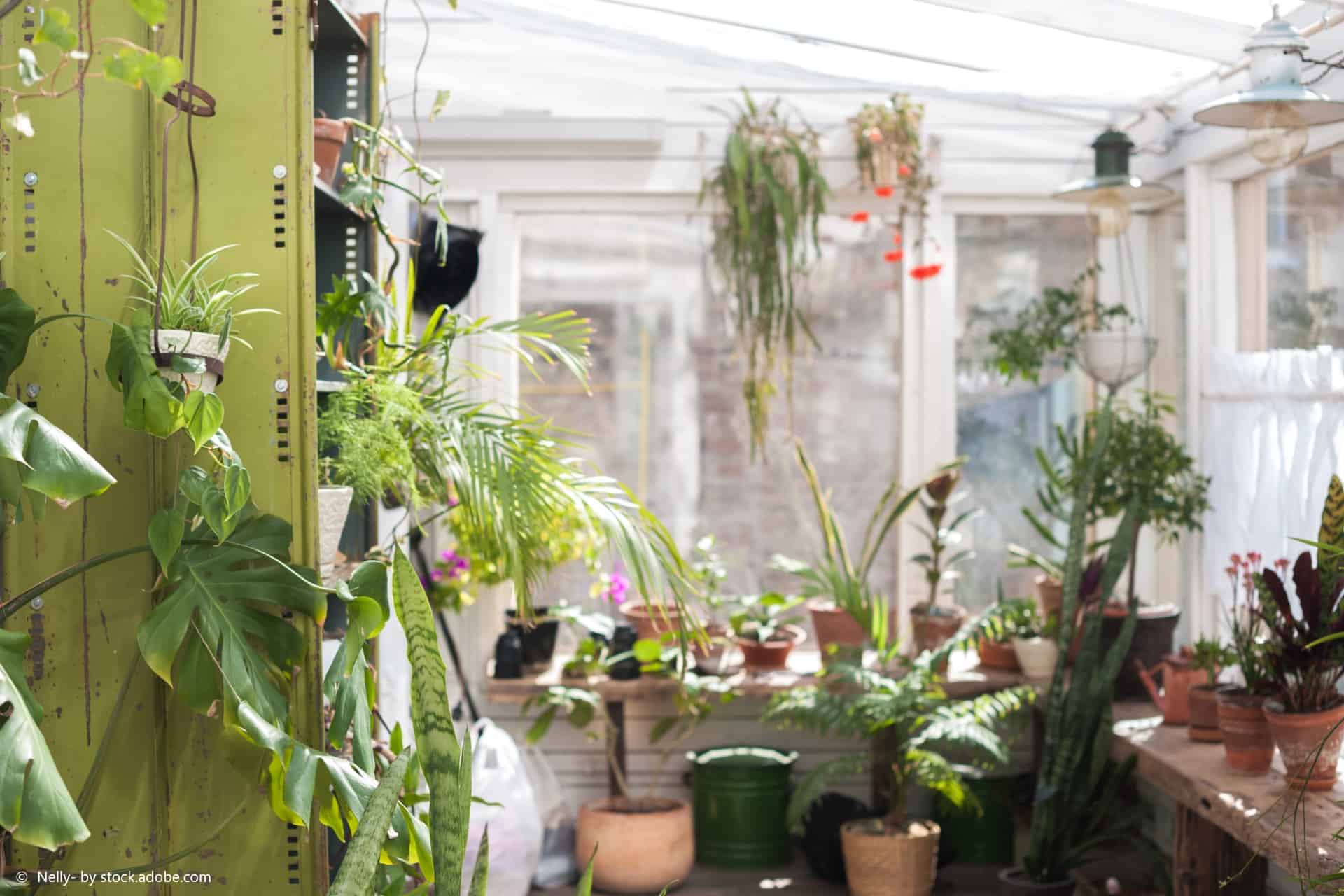 Den Garten winterfest machen geht einfacher als man denkt