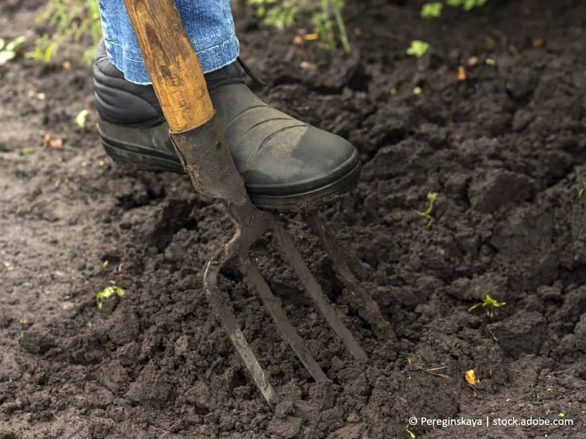 Garten im Frühling vorbereiten So funktioniert es mit dem WD40 Guide