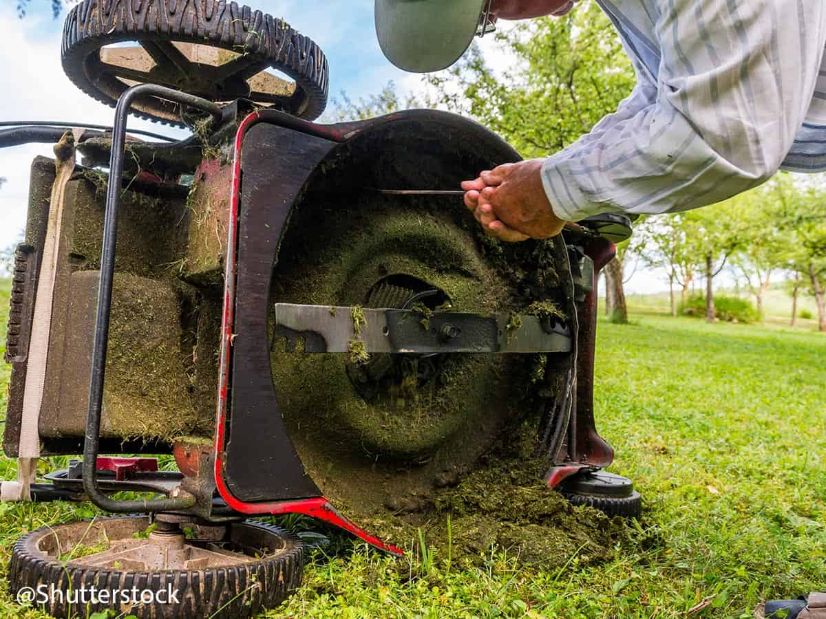 How to Service Petrol Lawnmower Lawn Mower Cleaning WD40®