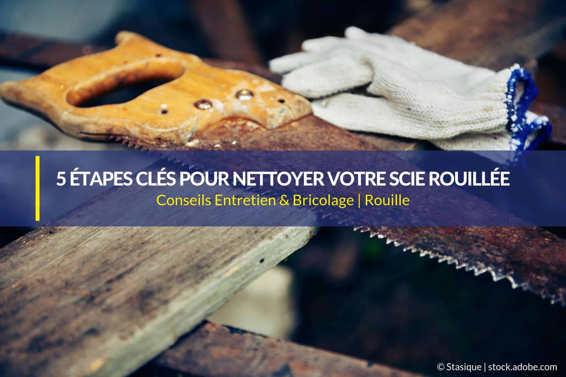 5 étapes Clés Pour Nettoyer Votre Scie Rouillée Wd 40 Fr