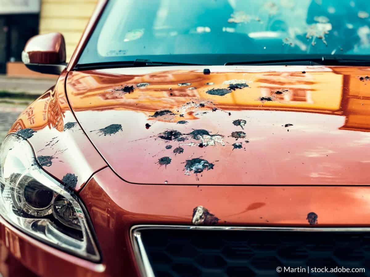Comment nettoyer la carrosserie de sa voiture ? - WD-40 FR