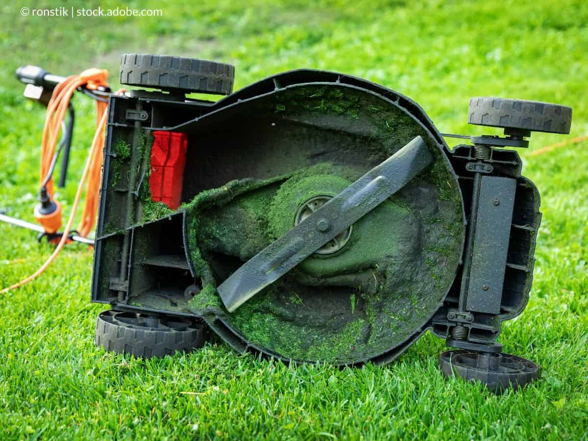 Comment nettoyer et entretenir la lame de la tondeuse à gazon