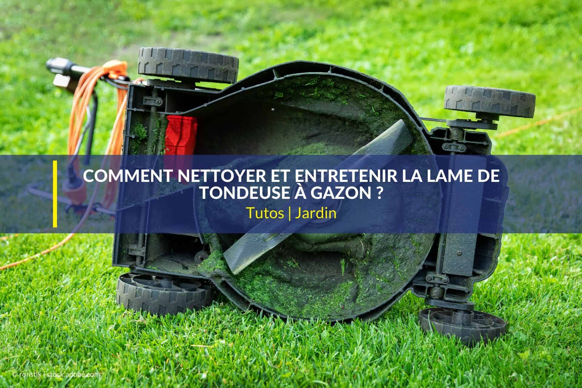 Comment Nettoyer Et Entretenir La Lame De La Tondeuse A Gazon
