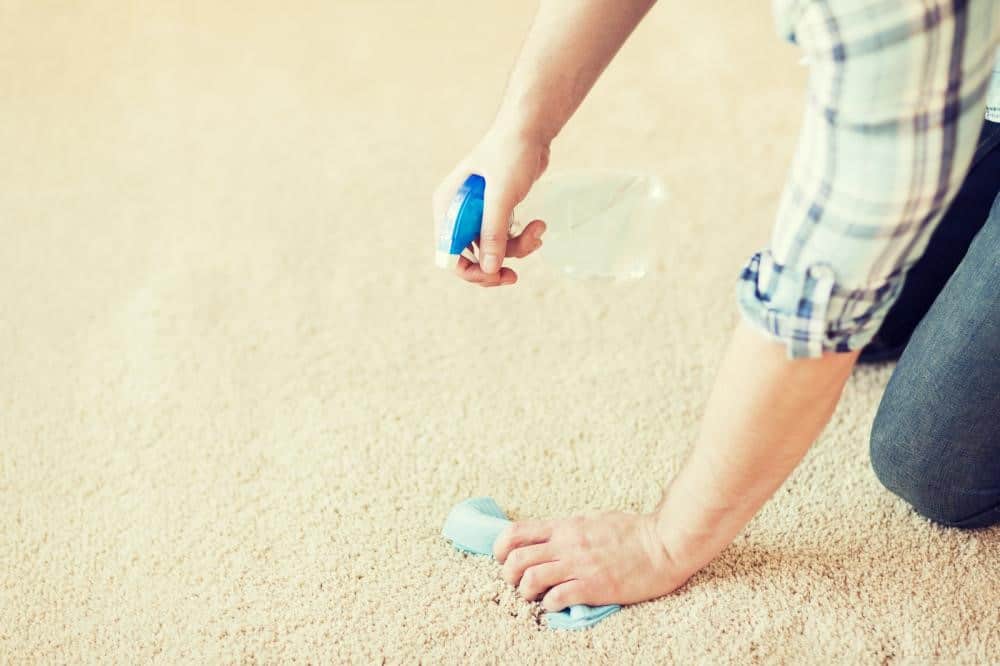 Simple Tips And Tricks For Removing Chewing Gum From Carpet