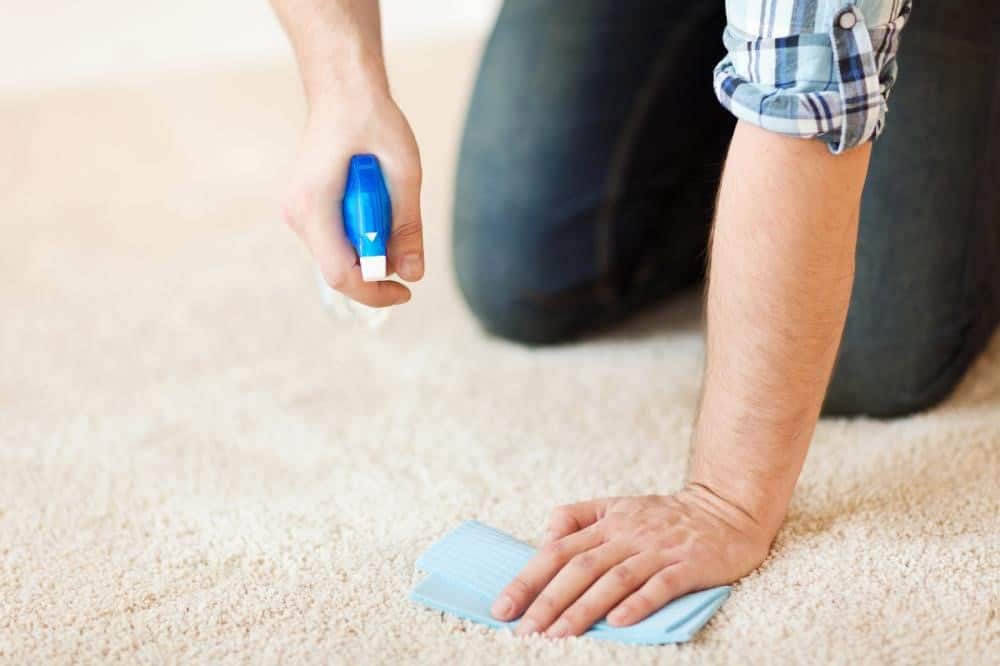 remove lipstick from carpet