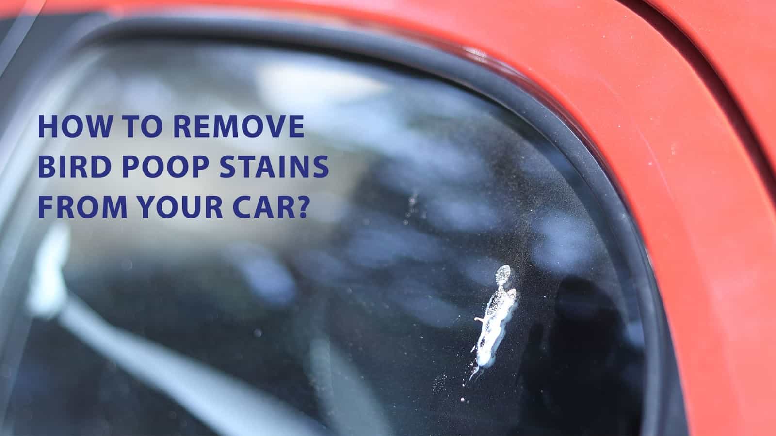 how-to-clean-bird-poop-stains-from-your-car-wd-40-india