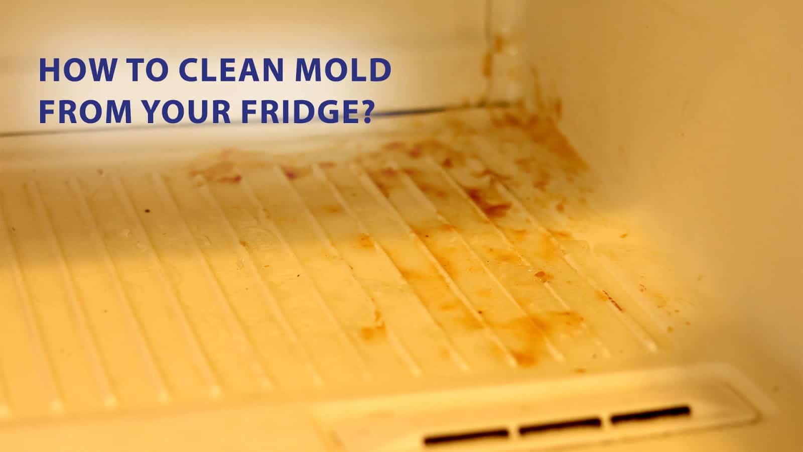 How To Clean Mold From Your Fridge Wd 40 India