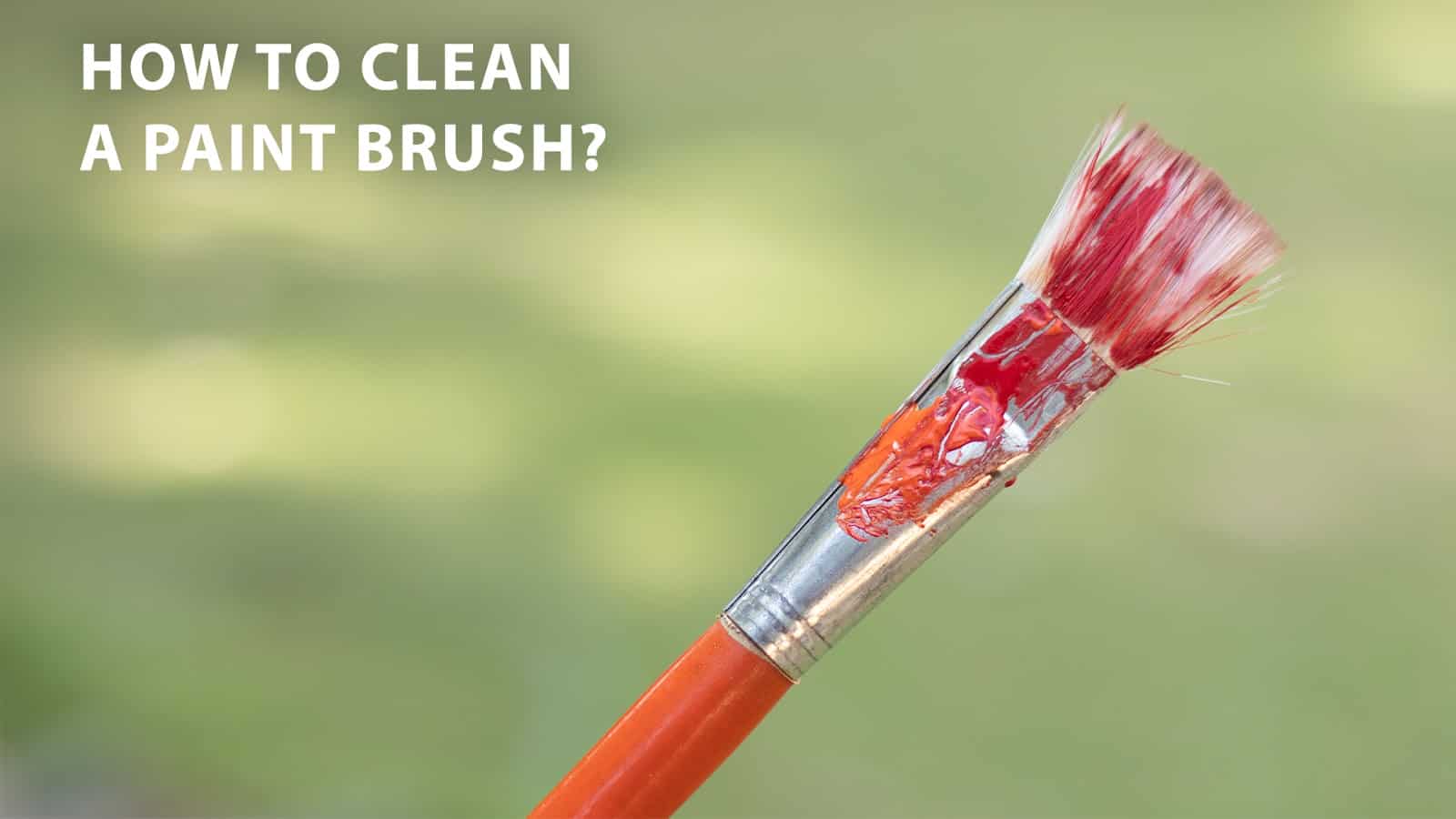 How To Clean Paintbrushes? WD40 India