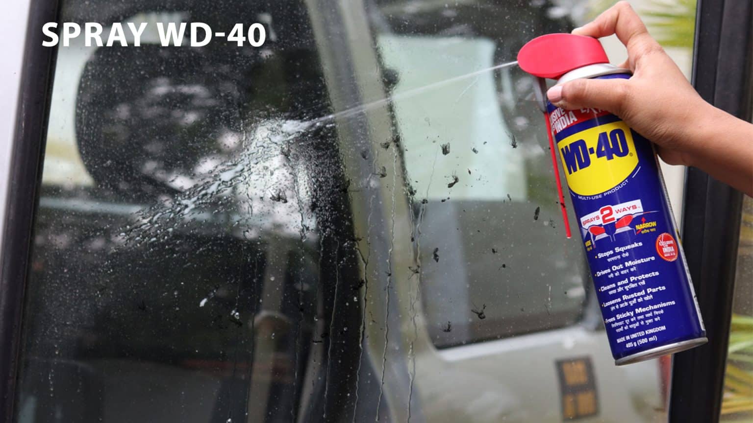 Tricks To Remove Insects From Your Car With WD40! WD40 India