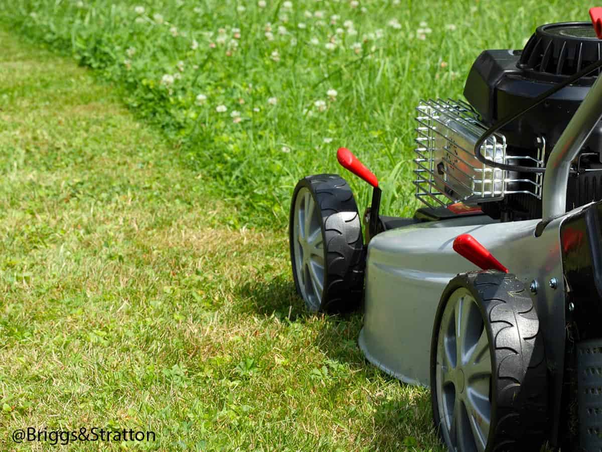 Come revisionare il tagliaerba a scoppio? - WD-40 Italia